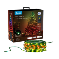 Holiday Decor Lights